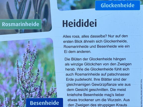 23-09-24 17-03-07 7405